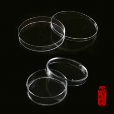[과학쌤이오] PS 샬레 대형 페트리디쉬 10ea
