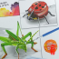 [과학쌤이오] 스팀교육 곤충 입체 퍼즐 색칠 세트 택1
