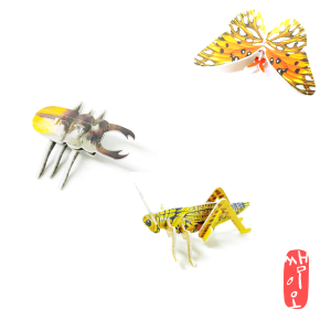 [과학쌤이오]  3D 입체 8종 곤충퍼즐 5장
