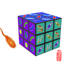 [과학쌤이오] 작은 생물의 영향 박테리아 큐브 만들기