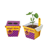 [쌤이오] 식물 기르기 종이로 만든 자연화분 에코팟 강낭콩
