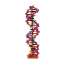 [과학쌤이오] 생명과학 실험재료 DNA 조립 모델