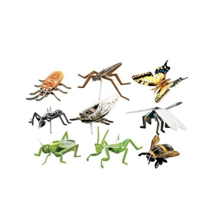 [과학쌤이오] 교과서에 나오는 우리나라 곤충 16종