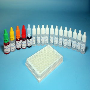 [과학쌤이오] pH 실험세트 용액 12종 지시약 5종 세트
