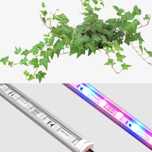 [과학쌤이오] 식물관찰수업 식물성장 LED세트 A세트