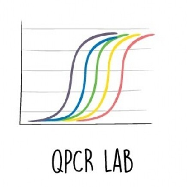 [과학쌤이오] 분자생물학 정량적 중합효소 연쇄반응(qPCR) 관찰 키트 32인 학급용