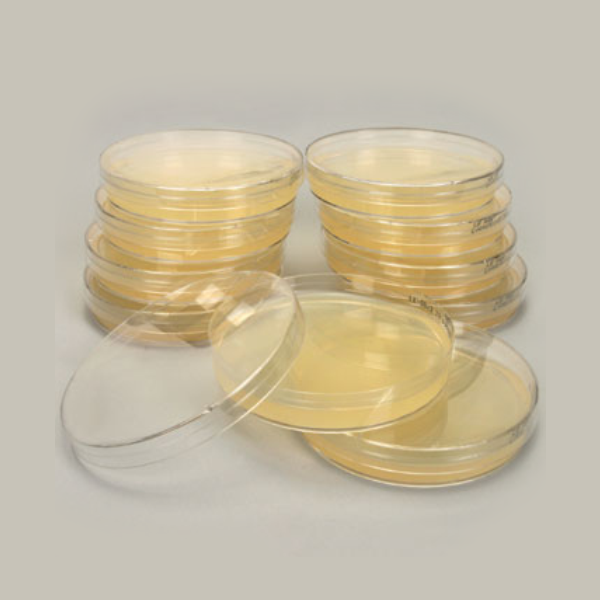 [과학쌤이오] Plasmid E.coli LB Broth Agar Plate